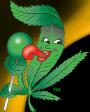 peace cannabis